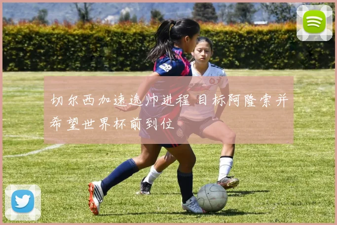 切尔西加速选帅进程 目标阿隆索并希望世界杯前到位