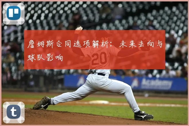 詹姆斯合同选项解析：未来去向与球队影响