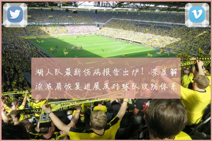 湖人队最新伤病报告出炉！深度解读浓眉恢复进展及对球队攻防体系的具体影响