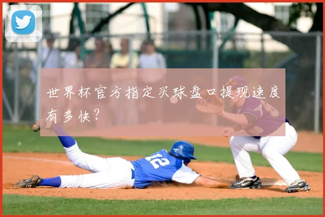 世界杯官方指定买球盘口提现速度有多快？